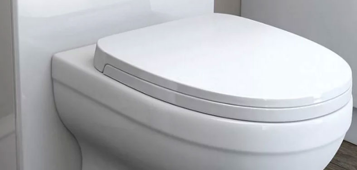 Install Toilet Bowl